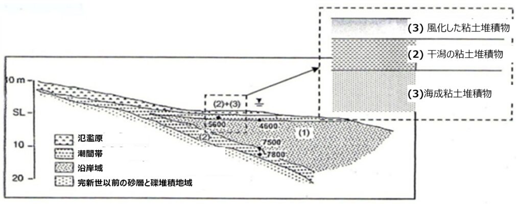 Components of Bangkok clay