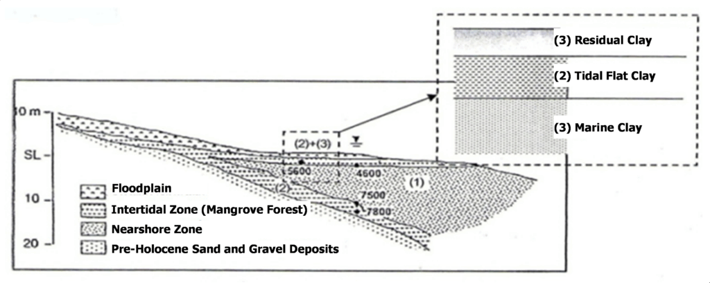 Components of Bangkok clay